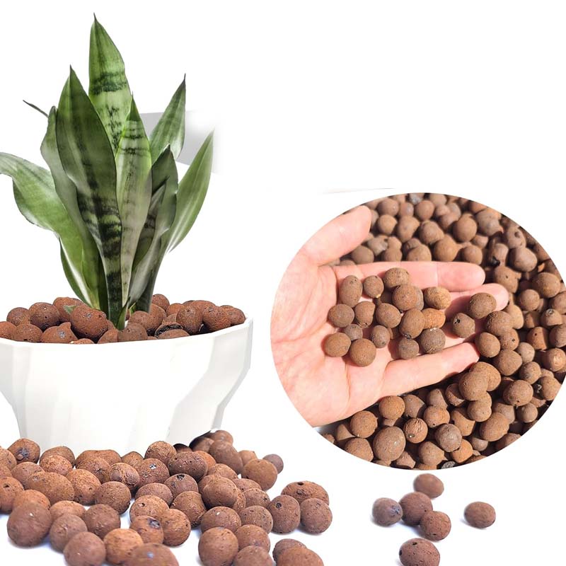 100/200/500g Clay Pebbles Hydr - đánh giá và giá Clay Pebble Growing