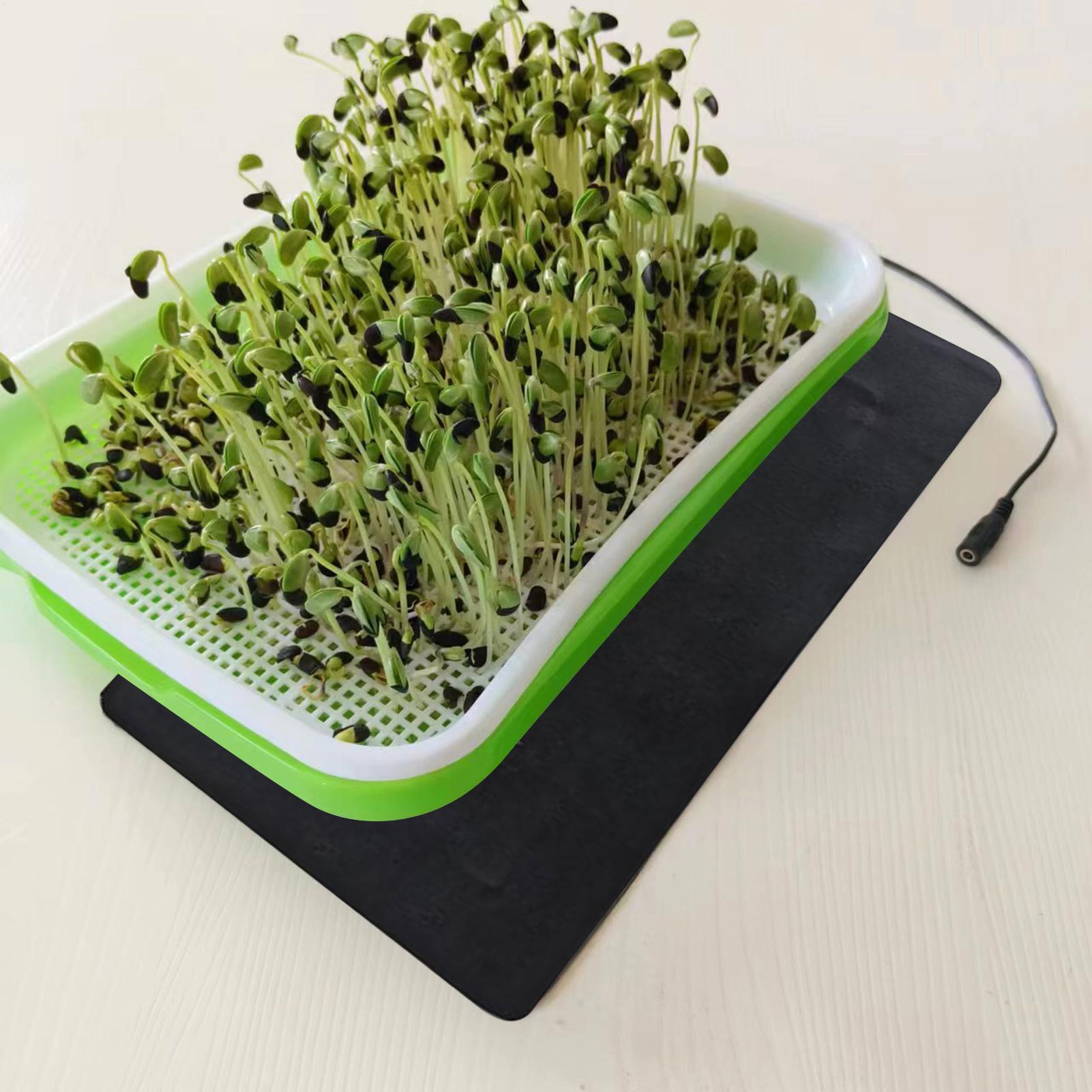8.5W Seedling Heat Mat 5V 2A P - đánh giá và giá Seedling Heat Pad