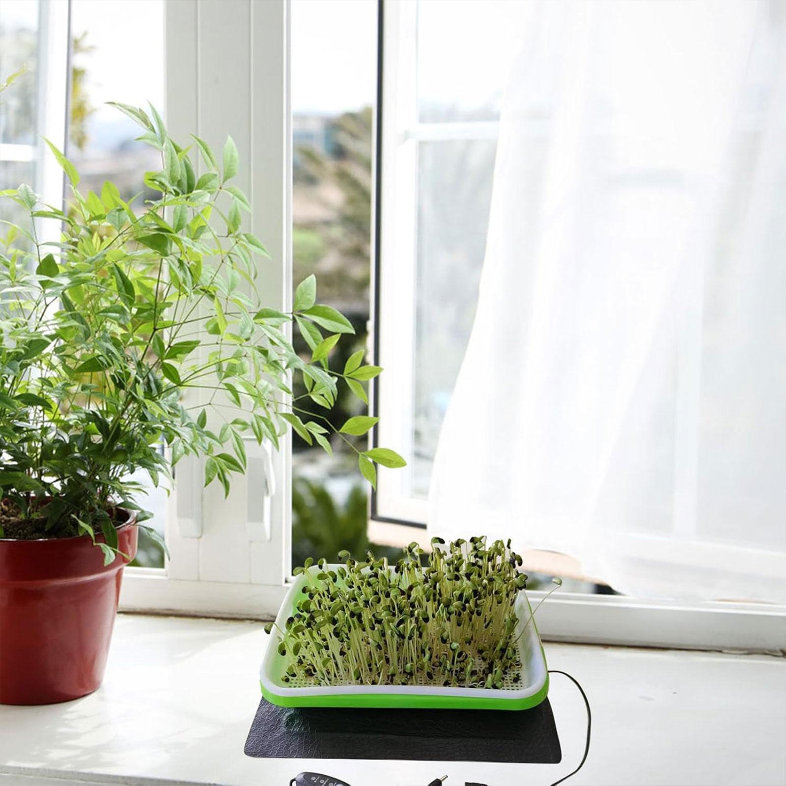 Hydroponic Heat Mat for Seedli - đánh giá và giá Seedling Heat Pad